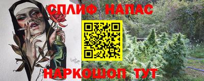 прущие грибы Обнинск
