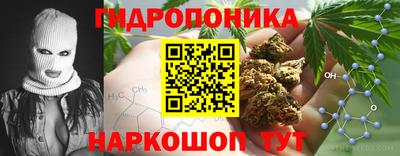 прущие грибы Обнинск