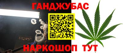 прущие грибы Обнинск