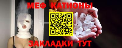 прущие грибы Обнинск